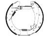 剎車(chē)蹄片 Brake Shoe Set:4241.4X